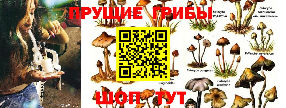 Галлюциногенные грибы прущие грибы Ефремов