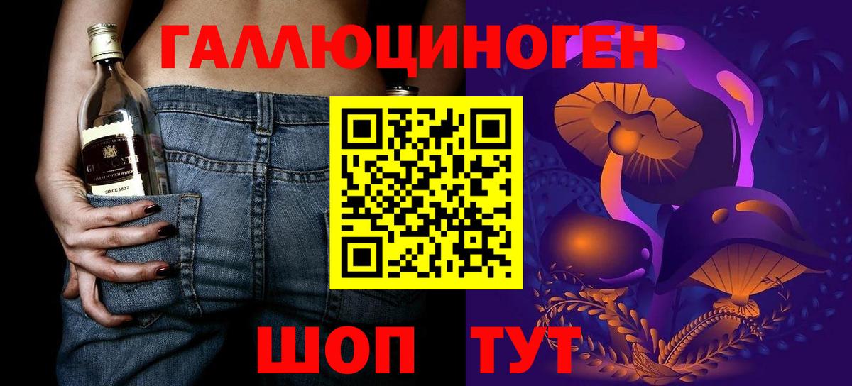 Ефремов  Псилоцибиновые грибы Psilocybine cubensis  Вход с VPN 